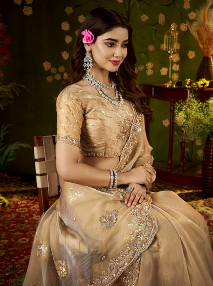 Handcrafted Champagne Gold Regal Bloom Soft Tissue Saree styled for weddings and festive celebrations.