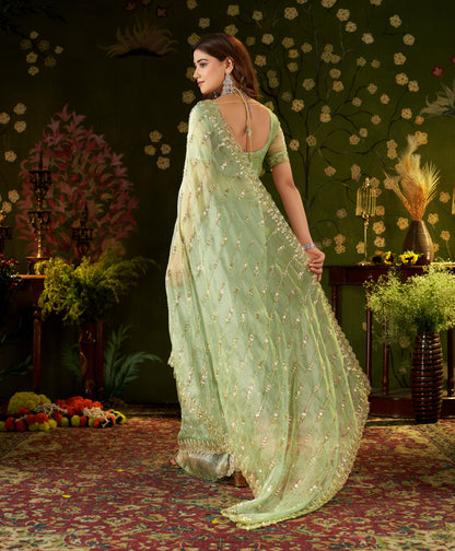 Back shot showing hand-embroidered tissue silk blouse pattern and pallu drape.